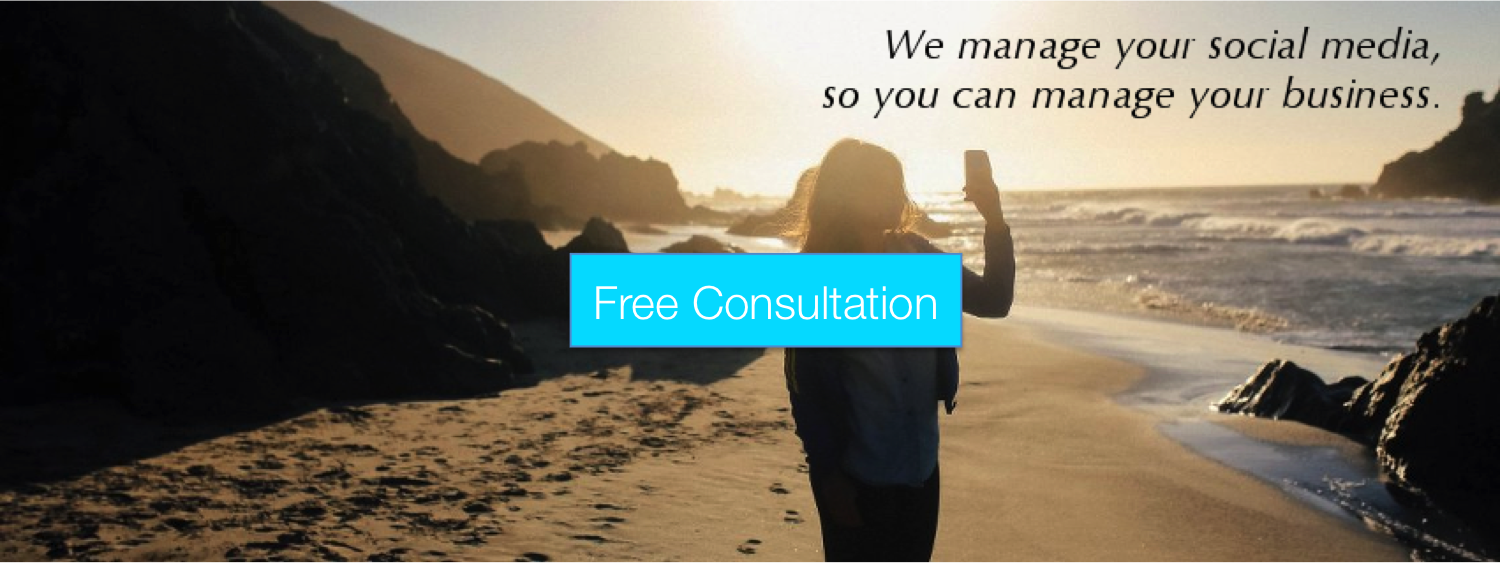 the light free consultation