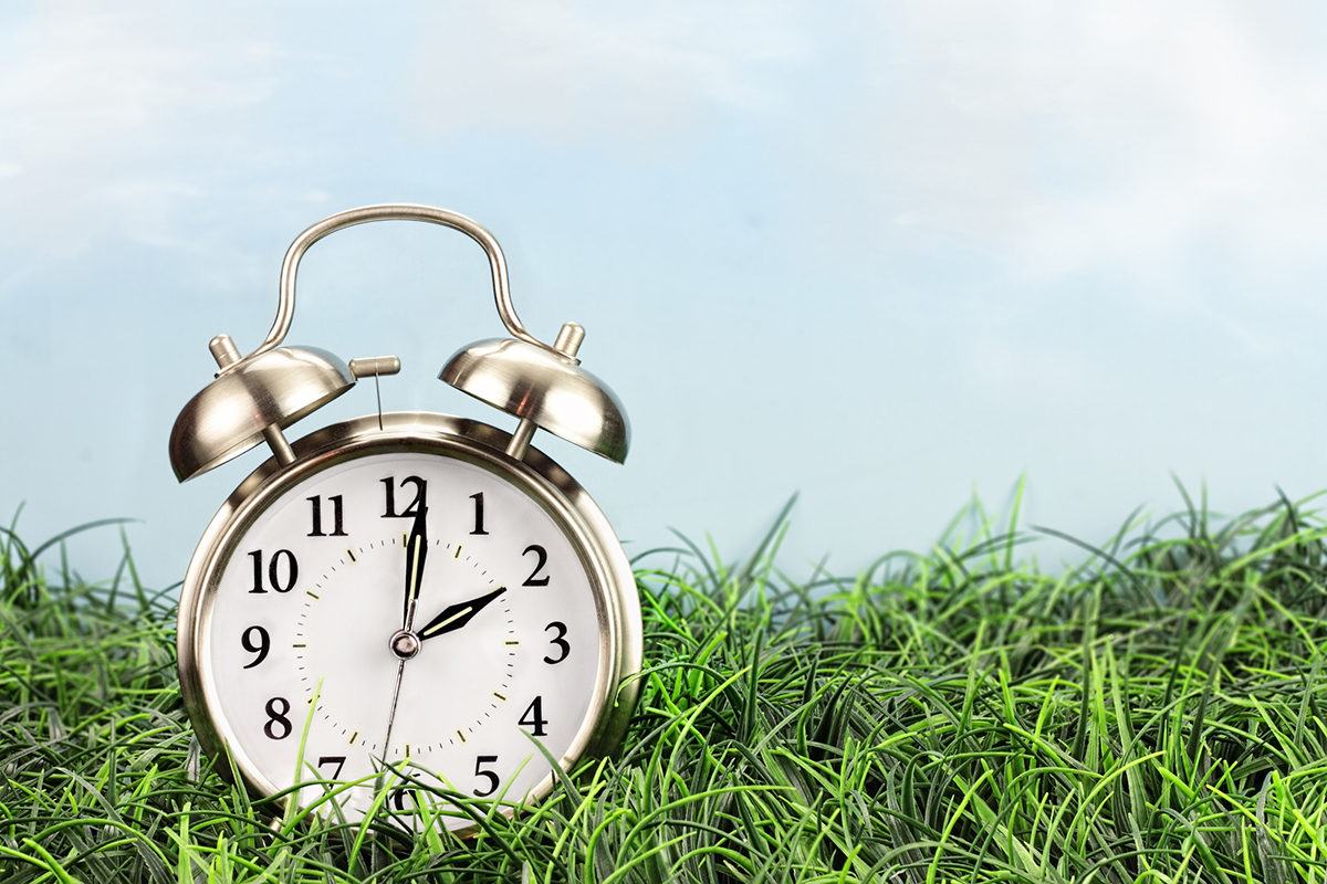Stick to a sustainable schedule: a clock placed on a grassy surface